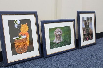 Hawkesbury Camera Club photos