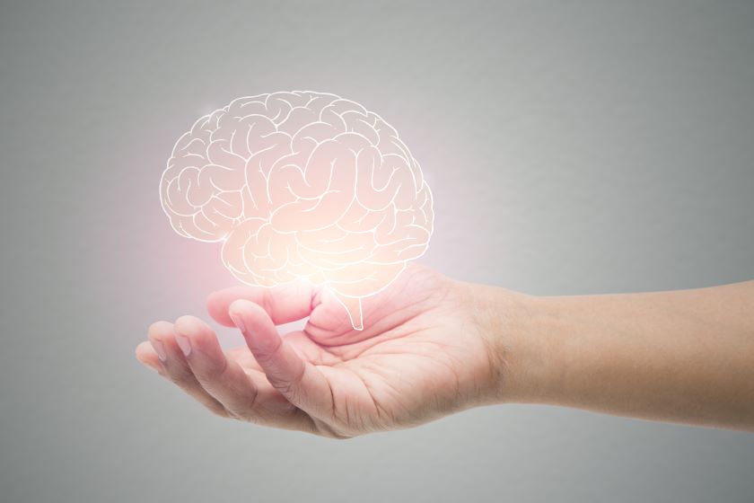 Artist's impression of a hand holding a glowing brain