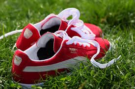 Sneakers sitting on green grass
