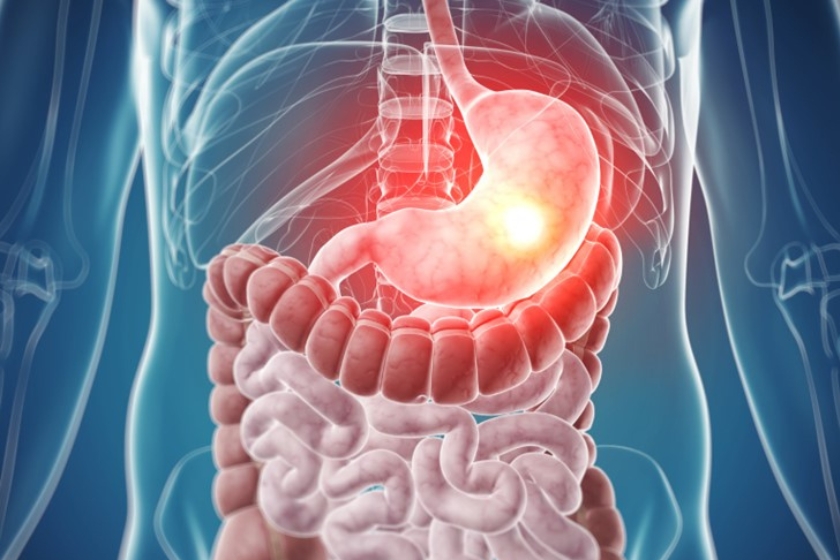 An x-ray like image of the human body with the organs visible
