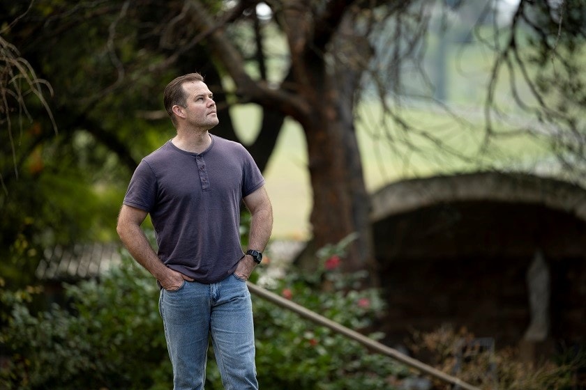 A man stands out in nature, looking up at a large tree