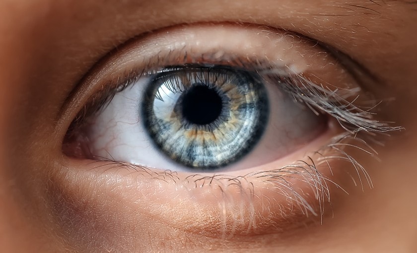 Blue and green human eye