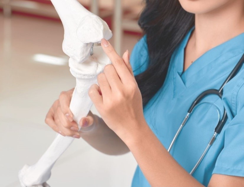 A healthcare professional in blue scrubs, wearing a stethoscope, is holding a white anatomical model of a knee joint and pointing to a specific area on it