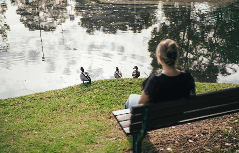 A woman sits on a bench watching ducks by a pond