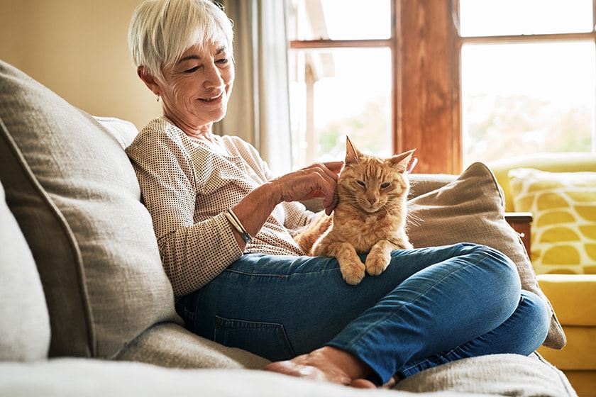 Stock image with person sitting on the couch by the window with a cat on their lap.