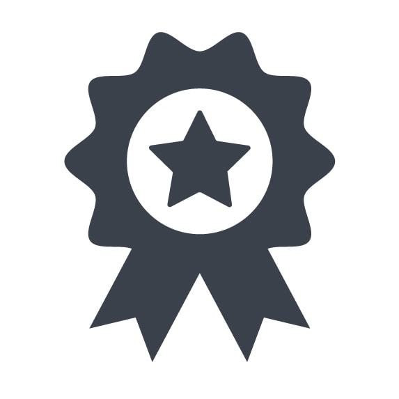 Icon of a ribbon medal