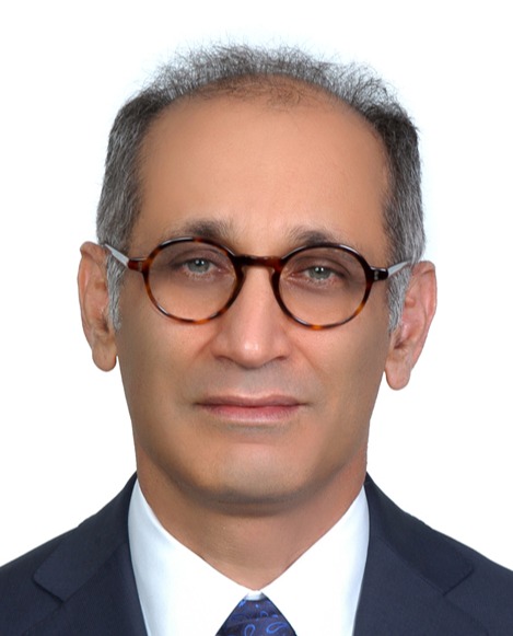 Portrait of Dr Afshin Borhani Haghighi