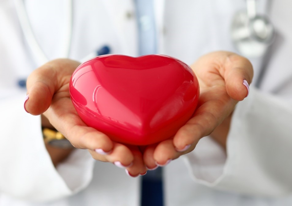 A person in a white coat holding a red plastic heart in both hands.