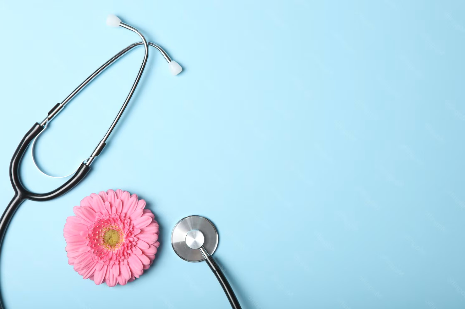 Picture of a stethoscope and flower
